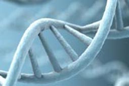 令人心动的手机号压测试